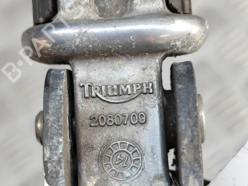 Other TRIUMPH MOTORCYCLES THRUXTON Thruxton 900 (986ME2) | BP28687890O1