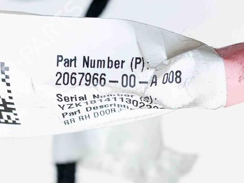 Ledningsnet TESLA MODEL 3 (5YJ3) EV | BP27748018E16 