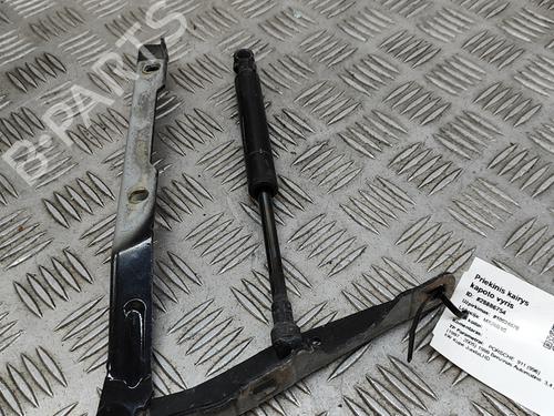 Hinge/Door check strap PORSCHE 911 (996) 3.4 Carrera 4 | BP24142726C146 