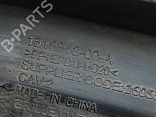 Grill TESLA MODEL 3 (5YJ3) EV AWD | BP32680525C40  - Image 6