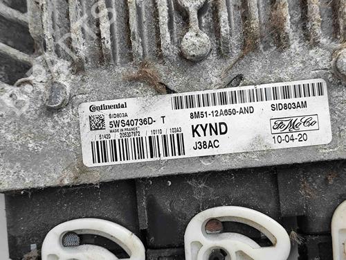 Engine control unit (ECU) FORD FOCUS II Convertible 2.0 TDCi | BP24975964M57