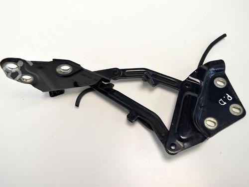 Used Hinge/Door check strap VW TOUAREG (7LA, 7L6, 7L7) 2.5 R5 TDI (174 hp) 30237456