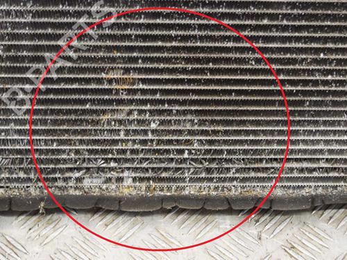 Water radiator KIA SPORTAGE II (JE_, KM_) 2.0 16V 4WD | BP10073331M31 