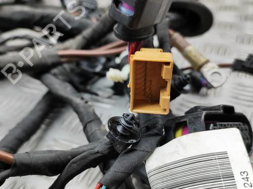 Wiring harness CUPRA BORN (K11) 58 | BP32213657E16 