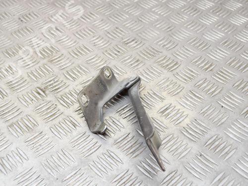 Hinge/Door check strap NISSAN PATHFINDER III (R51) 2.5 dCi 4WD | BP14634709C146 