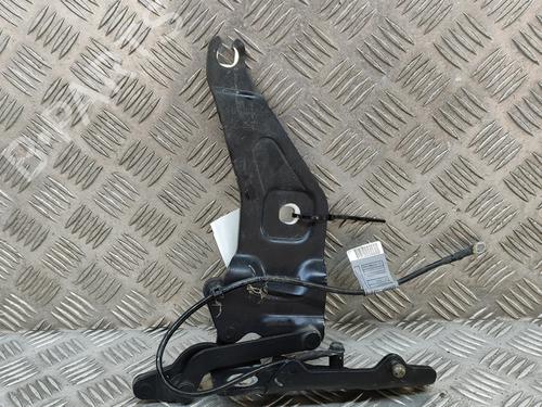 Hinge/Door check strap BMW X5 (E70) xDrive 30 d | BP16712151C146 