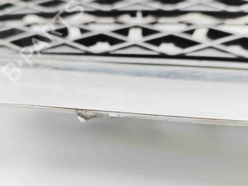Grille SUZUKI GRAND VITARA II (JT, TE, TD) 2.4 All-wheel Drive (JT424, JB424, TDA4) | BP29569977C40 