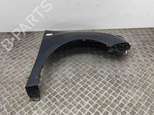 Right front fenders DACIA SANDERO II TCe 90 (B8M1, B8MA, B8AC) | BP29890739C42