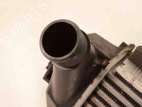 Intercooler FORD FIESTA VI (CB1, CCN) 1.0 EcoBoost | BP30217748M30