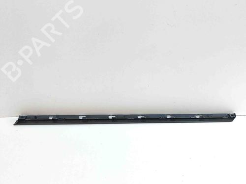 Door moulding trim MERCEDES-BENZ B-CLASS Sports Tourer (W245) B 180 CDI (245.207) | BP29495071C150 