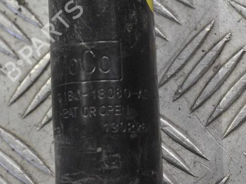 Left rear shock absorber FORD FIESTA VI (CB1, CCN) 1.4 TDCi | BP6715420M18