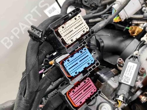 Engine AUDI Q7 (4MB, 4MG, 4MQ) SQ7 TDI quattro | BP29485995M1 