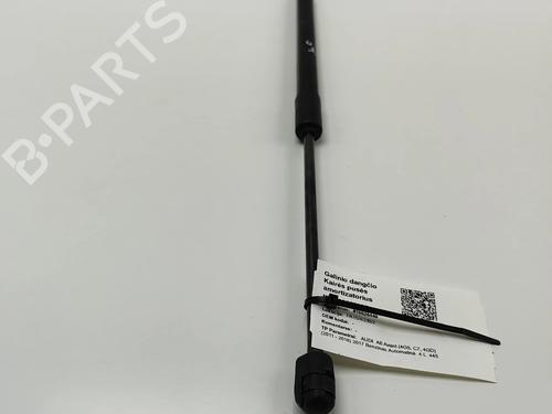 Tailgate lift support AUDI A6 C7 Avant (4G5, 4GD) RS6 performance quattro | BP26687614C138 