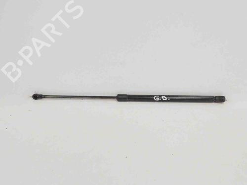 Used Tailgate lift support NISSAN QASHQAI II (J11, J11_) 1.2 DIG-T (115 hp) 14667950