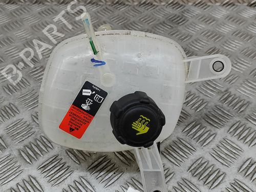 Used Expansion tank NISSAN QASHQAI III (J12) 1.3 DIG-T (158 hp) 29391428