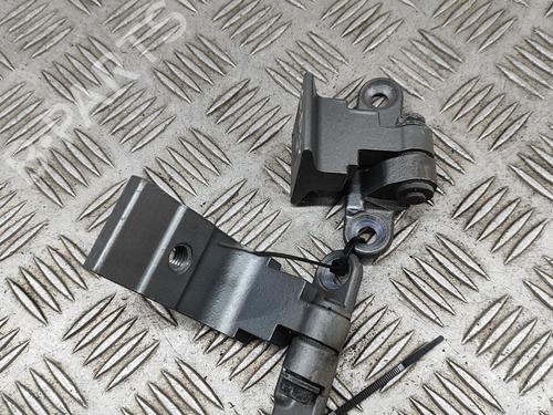 Hinge/Door check strap BMW 5 (F10) 535 d | BP24142954C146