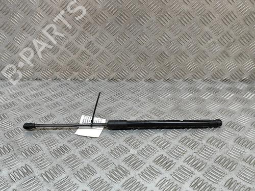 Used Tailgate lift support FIAT 500 (312_) 1.0 Mild Hybrid (312.AYD1B) (69 hp) 28554699