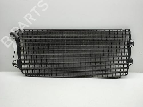 Grill RENAULT MASTER III Van (FV) 2.3 dCi 180 FWD (FV04, FV07) | BP38184581C40 - Image 2