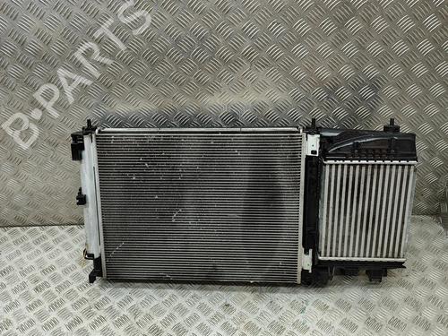 Kølerpakke NISSAN JUKE (F16_) DIG-T 117 (117 hp) 27792565