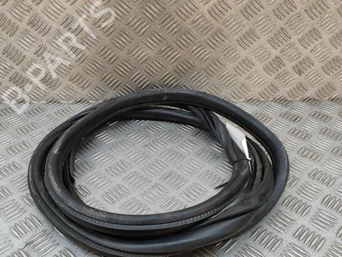 Used Rubber door seal BMW 3 Touring (F31) 318 d xDrive (143 hp) 29076225