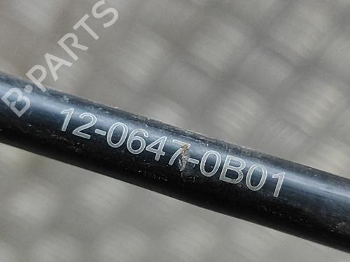 Other KAWASAKI MOTORCYCLES Z (900cc - ) Z 900 (ZR900B) | BP28565551O1 