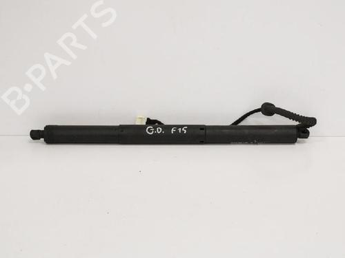 Used Tailgate lift support BMW X5 (F15, F85) xDrive 30 d (258 hp) 14653023