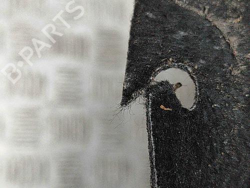 Wheel arch MERCEDES-BENZ EQB (X243) EQB 350 4-matic (243.612) | BP29256144C56 