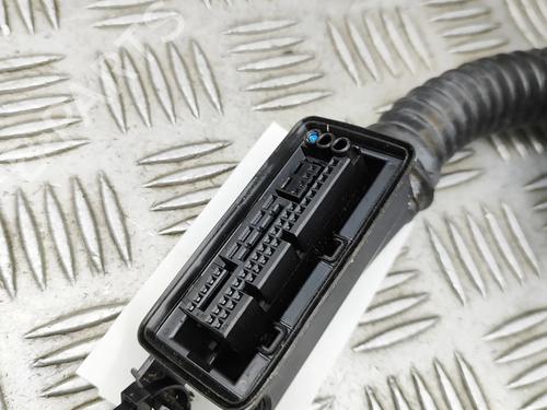 Wiring harness BMW XM (G09) XM All-wheel Drive | BP32501085E16 