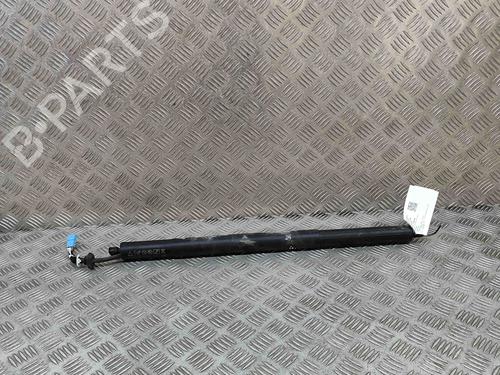 Vérin de coffre/hayon BMW X7 (G07) xDrive 40 d Mild-Hybrid (352 hp) 27772672