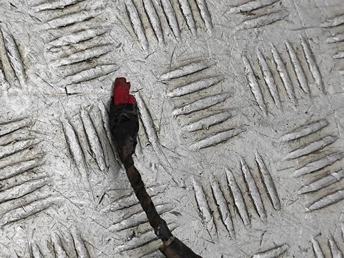 Catalyst MERCEDES-BENZ V-CLASS (W447) V 220 CDI / d (447.811, 447.813, 447.815) | BP28438248M10  - Image 8