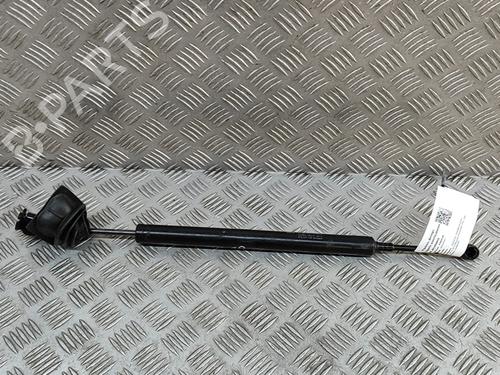 Hinge/Door check strap PORSCHE PANAMERA (970) 4.8 4S | BP27521315C146 