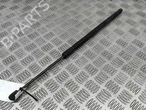 Tailgate lift support FIAT 500L (351_, 352_) 1.6 D Multijet (199LYD1B) | BP23247812C138