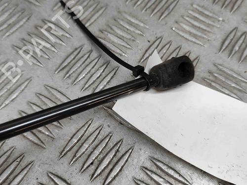 Tailgate lift support FIAT 500L (351_, 352_) 1.6 D Multijet (199LYD1B) | BP23247812C138