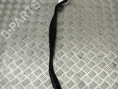Rubber door seal BMW 7 (F01, F02, F03, F04) 730 d | BP18314022C142 