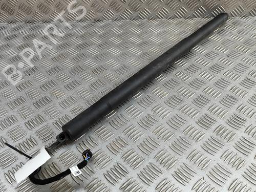 Used Tailgate lift support Tailgate lift support AUDI Q8 (4MN, 4MT) 50 TDI Mild Hybrid quattro (286 hp) 33373084 33373084