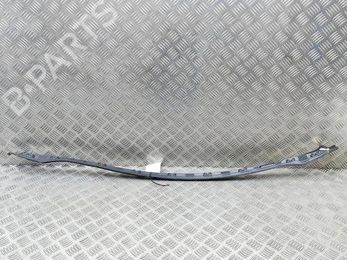Gummiliste BMW XM (G09) XM All-wheel Drive | BP33390360C142 - Image 4