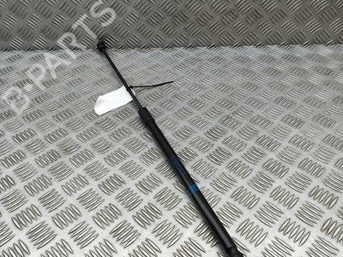 Tailgate lift support MERCEDES-BENZ GLC (X253) 300 d 4-matic (253.919) | BP29731138C138 