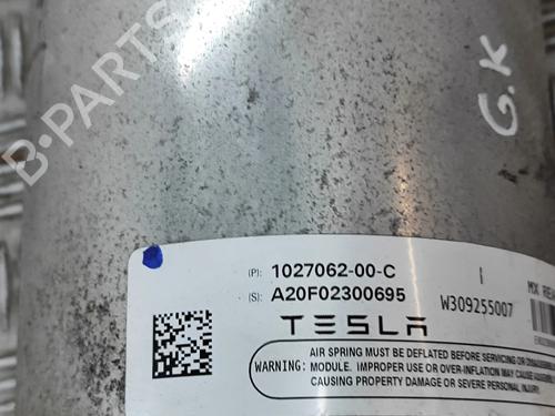 Left rear shock absorber TESLA MODEL X (5YJX) P100D AWD | BP28435246M18 