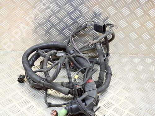 Used Wiring harness PORSCHE PANAMERA (970) 3.0 D (250 hp) 14622892