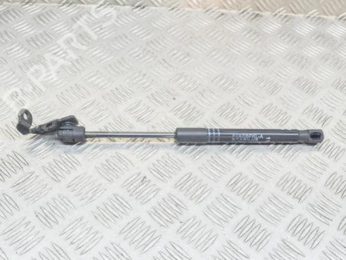 Hood lift support BMW 5 (F10) 520 d | BP14624919C139