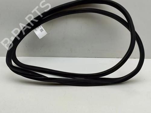 Rubber door seal TESLA MODEL X (5YJX) P100D AWD | BP28435524C142