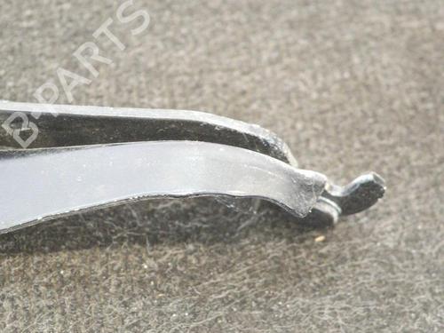 Hinge/Door check strap JAGUAR S-TYPE II (X200) R 4,2 V8 | BP14666407C146 
