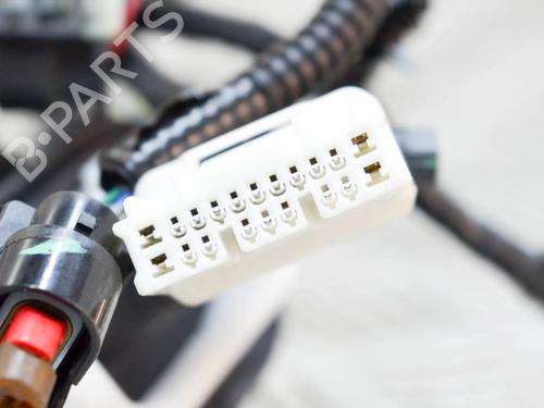 Ledningsnett TESLA MODEL 3 (5YJ3) EV AWD | BP27753759E16 