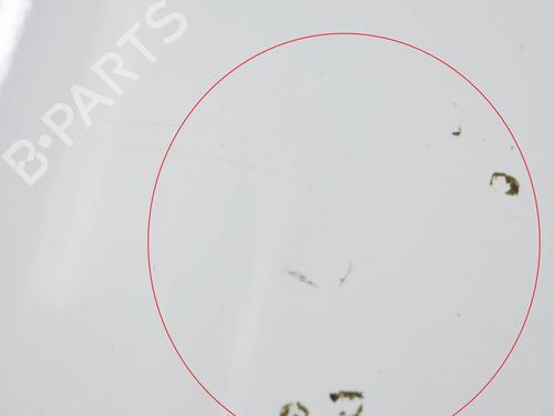 Tailgate SMART FORFOUR Hatchback (453) 0.9 (453.044, 453.053) | BP10527279C6 