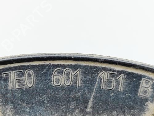 Hub cap VW TRANSPORTER T6 Van (SGA, SGH, SHA, SHH) 2.0 TDI | BP29945319C160