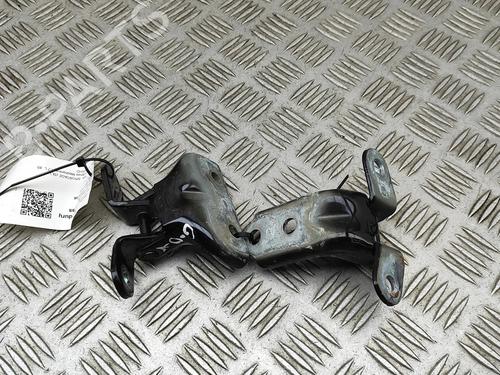 hingedoor-check-strap-kia-sportage-iii-sl-2009-2010-2011-2012-2013-2014-2015-2016-2017-33378478 main image
