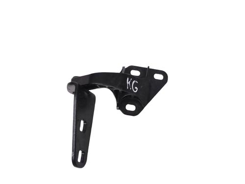 Used Hinge/Door check strap Hinge/Door check strap BMW i8 (I12) hybrid (231 hp) 30282455 30282455