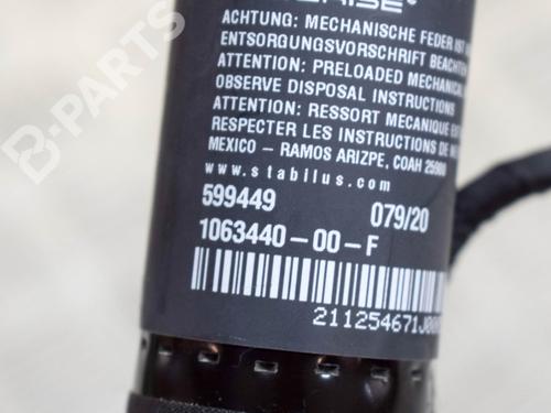 Elektronische module TESLA MODEL X (5YJX) P100D AWD | BP8625494M83 