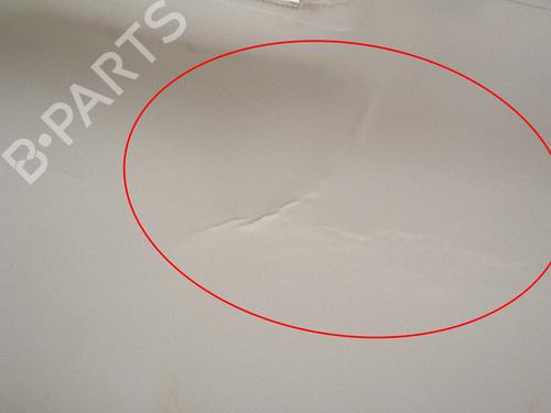 Interior roof DODGE RAM 1500 Pickup (DJ, DS) 5.7 4x4 | BP36043989I12 - Image 6