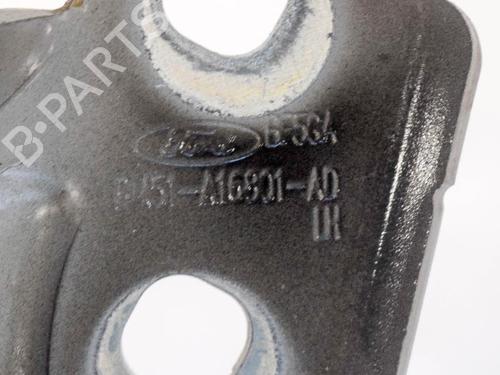 Hinge/Door check strap FORD FOCUS III 1.0 EcoBoost | BP14607722C146 